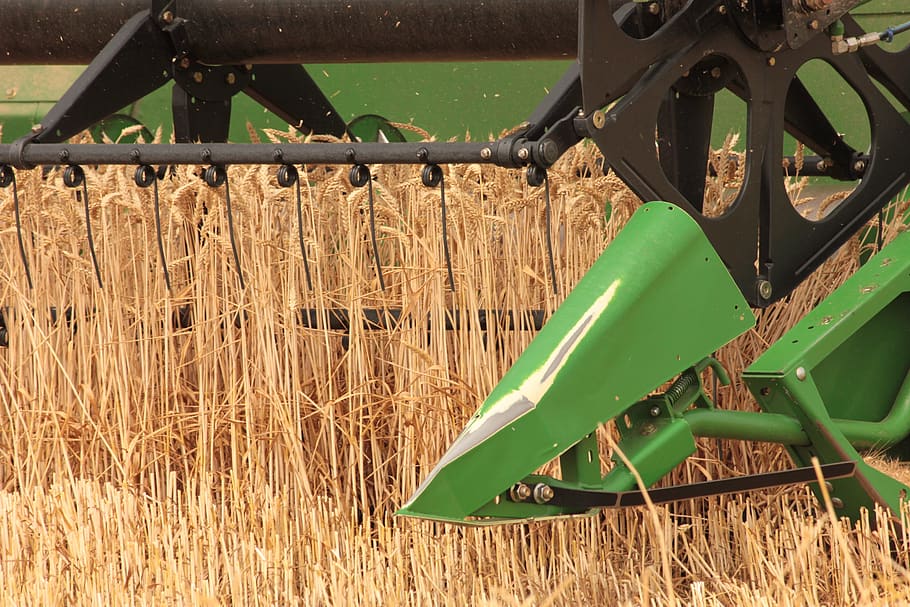 wheat, harvest, agriculture, fields, cereals, tractor, landscape HD wallpaper