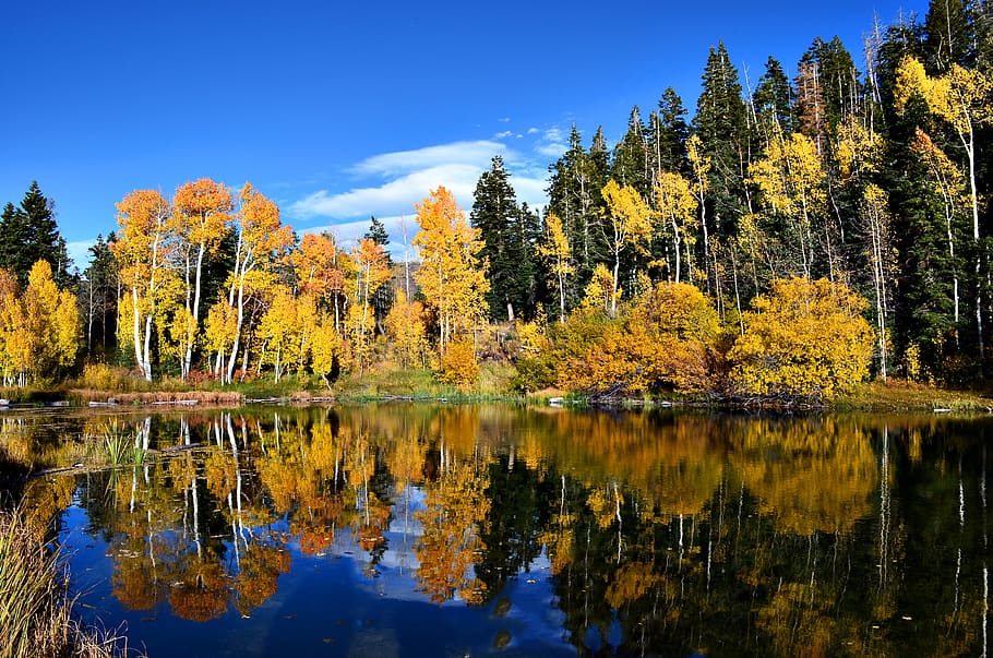 HD wallpaper: united states, manti-la sal national forest, trees, lake ...