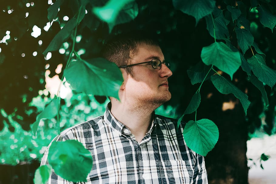 Man In Eyeglasses Standing Under Tree, leaves, person, leaf, plant part HD wallpaper