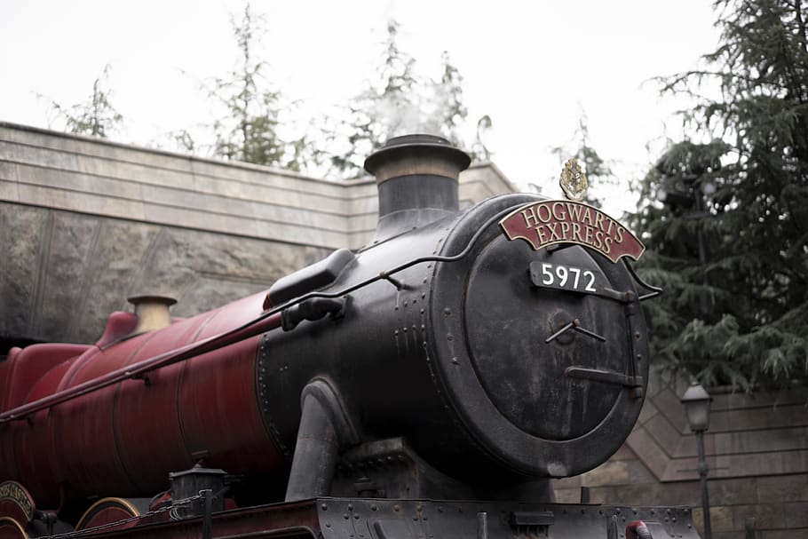 Hogwarts Express train, tree, vehicle, transportation, plant