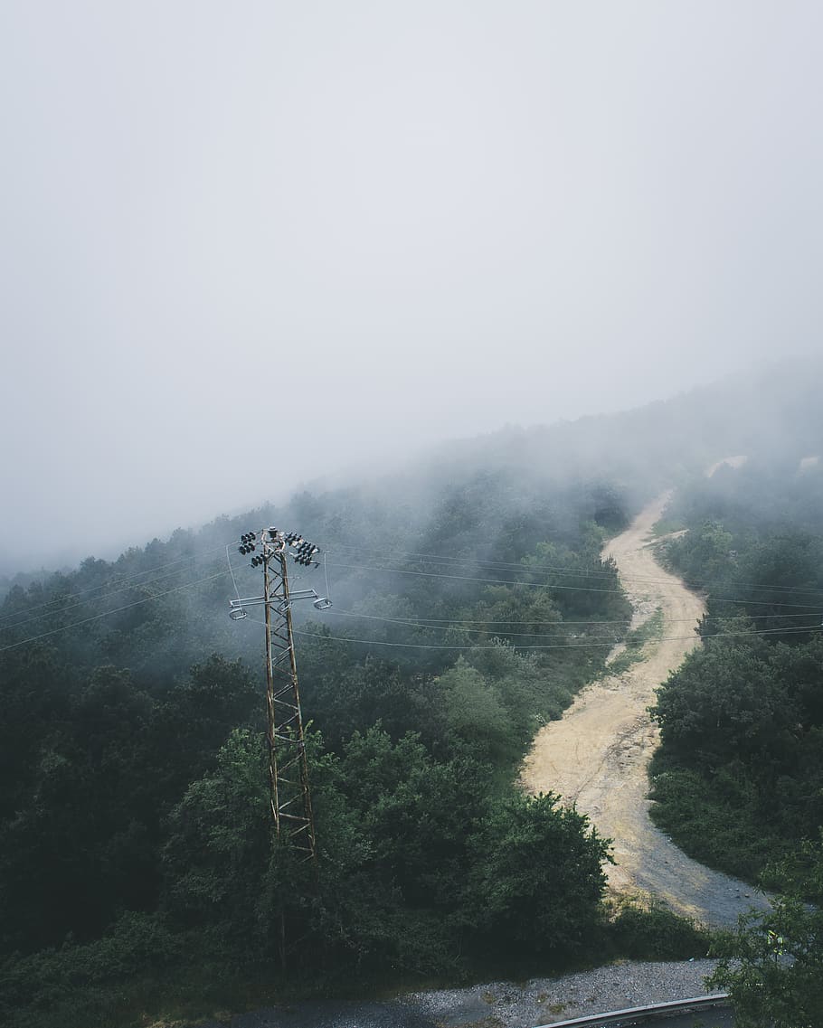 Green Trees and Gray Tower, aerial, daylight, electrical lines HD wallpaper