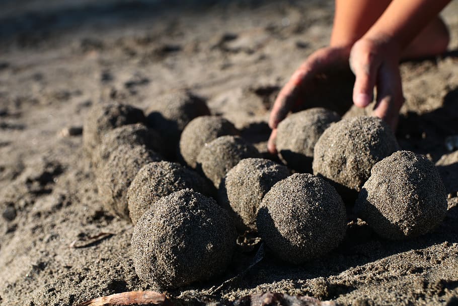 sea, sandy, beach, holiday, water, summer, coast, sand dumplings HD wallpaper