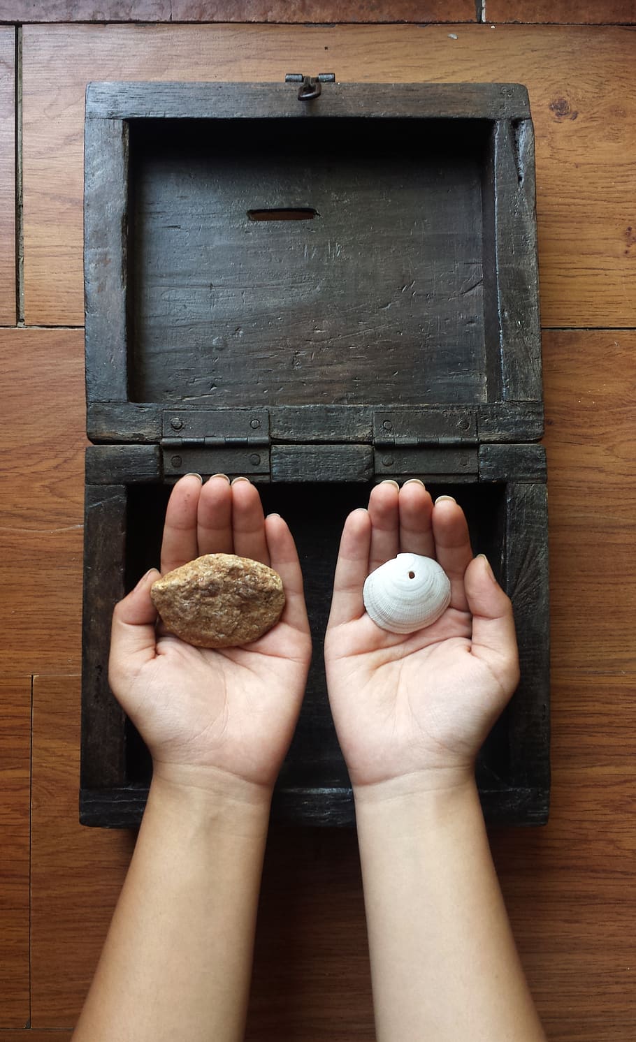 hands, memories, box, pebble, shell, human body part, human hand HD wallpaper