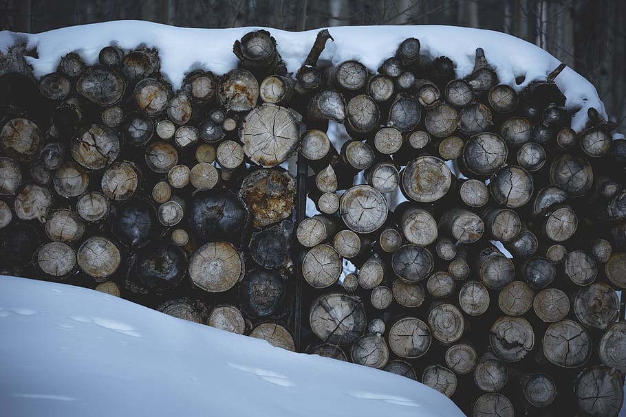 cut logs with snow on top, wood, money, architecture, tower, clock tower HD wallpaper