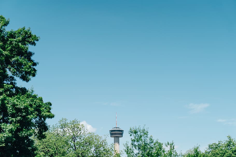 tower near trees, architecture, building, spire, steeple, plant HD wallpaper