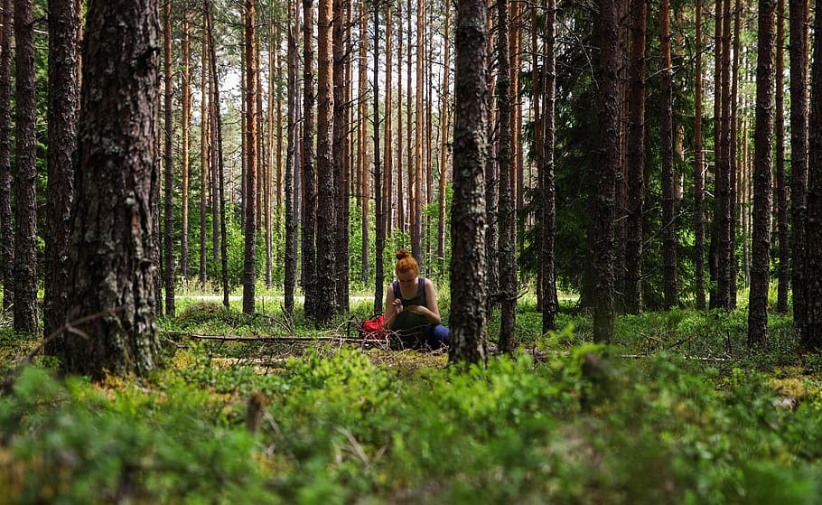 Woman Wearing Black Tank Top, daylight, environment, forest, person HD wallpaper