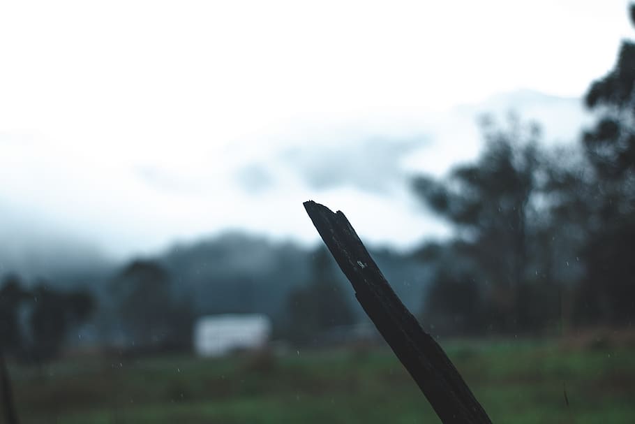 moody, explore, mist, fog, sky, cloud, blue, green, tundra HD wallpaper