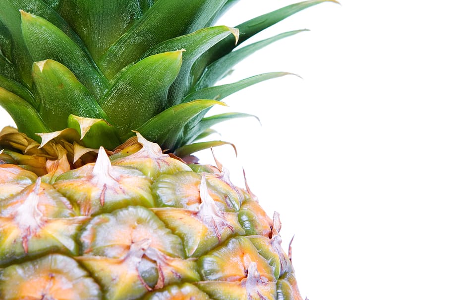 close-up, closeup, diet, dieting, eating, food, fresh, freshness HD wallpaper