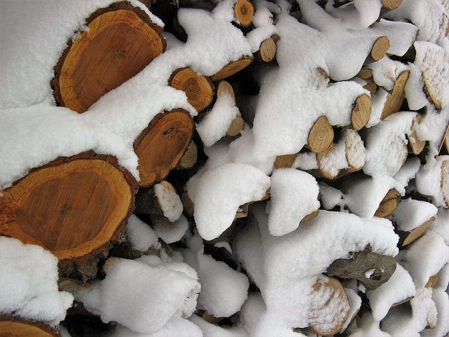 woods, snow, cold temperature, winter, no people, full frame HD wallpaper