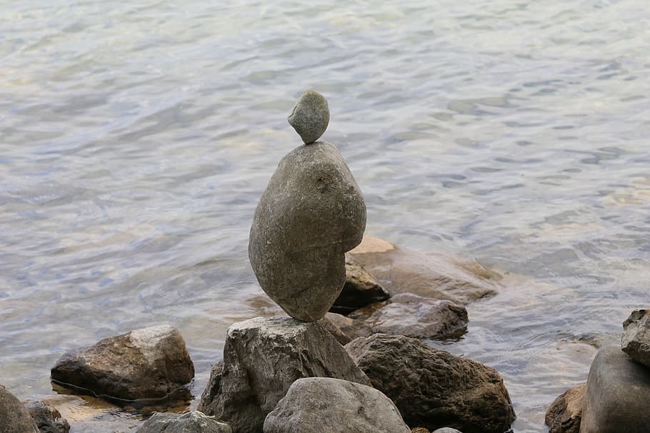 rock, solid, rock - object, water, no people, nature, day, animals in the wild HD wallpaper