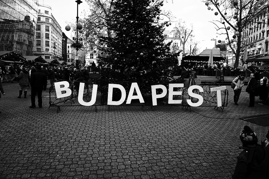 hungary, budapest, city, text, architecture, street, building exterior HD wallpaper