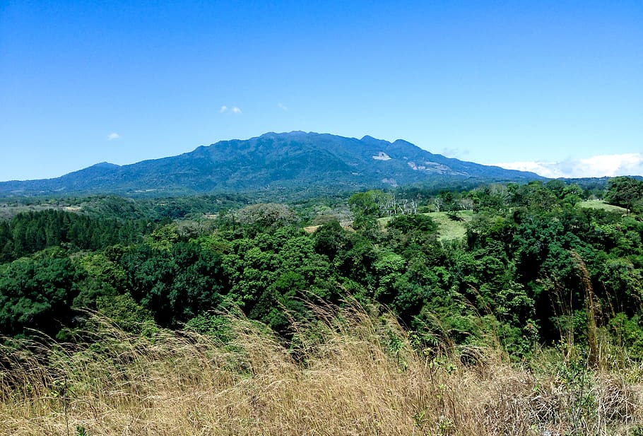 panama, boquete, mountain, trees, volcano, hills, beauty in nature, HD wallpaper