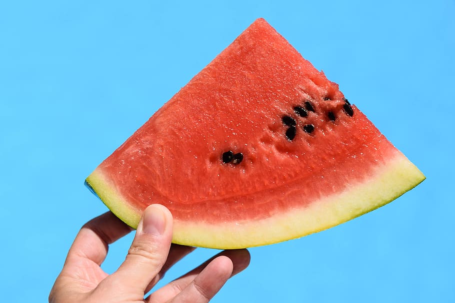 croatia, melon, summer, pool, heat, sun, sommer, fresh, color, HD wallpaper