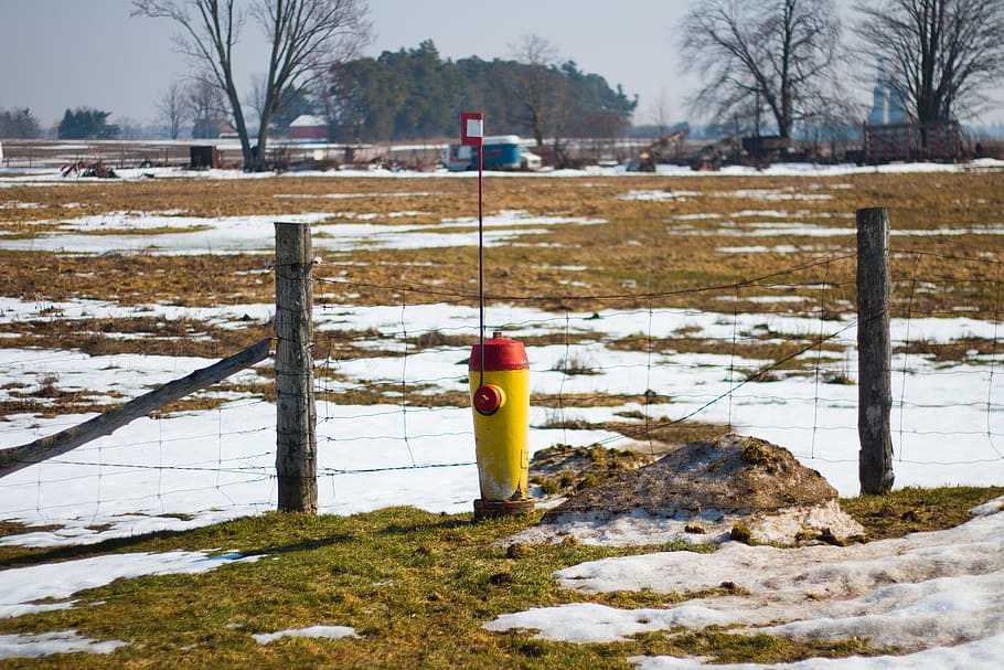 canada, blyth, snow, field, fence, fire hydrant, cold temperature HD wallpaper