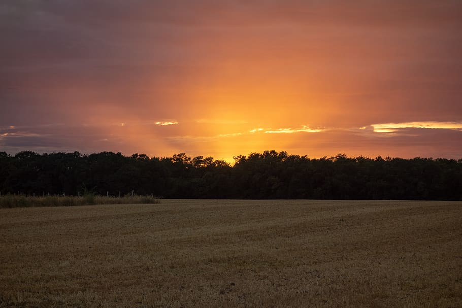 normandy, france, fields, sunset, dawn, twilight, orange, landscape HD wallpaper