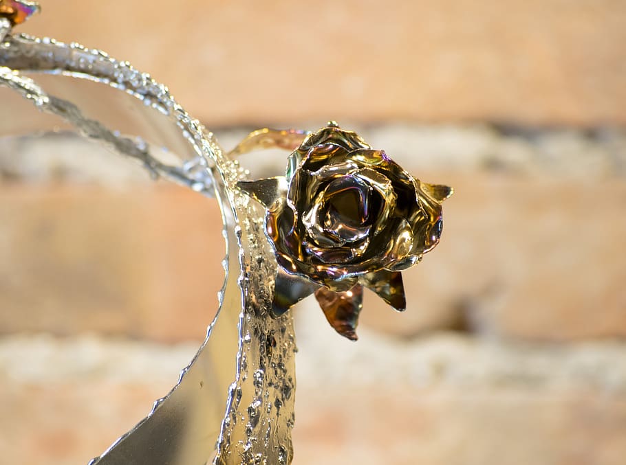 crystal, accessories, accessory, sphere, jewelry, rose, animal HD wallpaper
