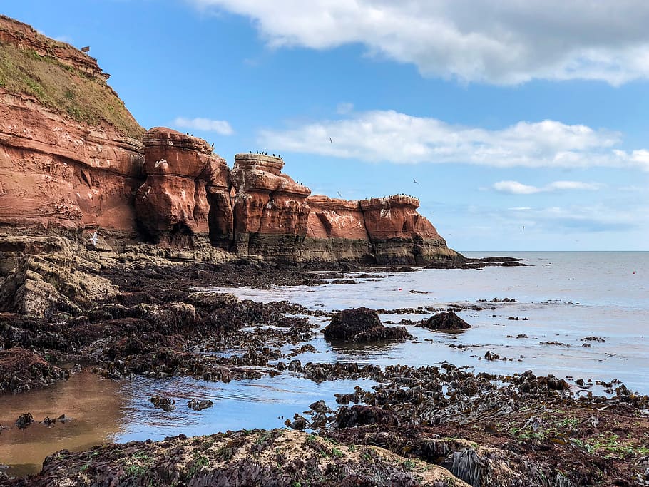 united kingdom, devon, devon cliffs holiday park, rock, water HD wallpaper