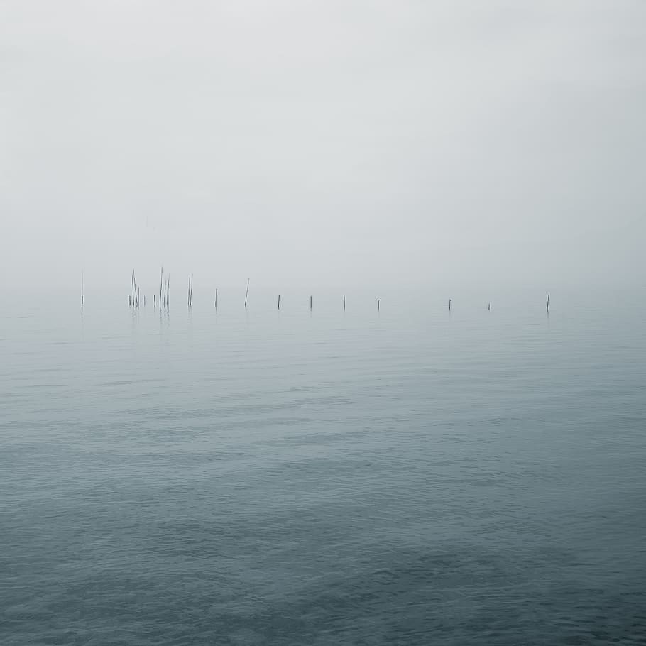 germany, müritz, silence, lake, water, waterfront, fog, tranquil scene HD wallpaper