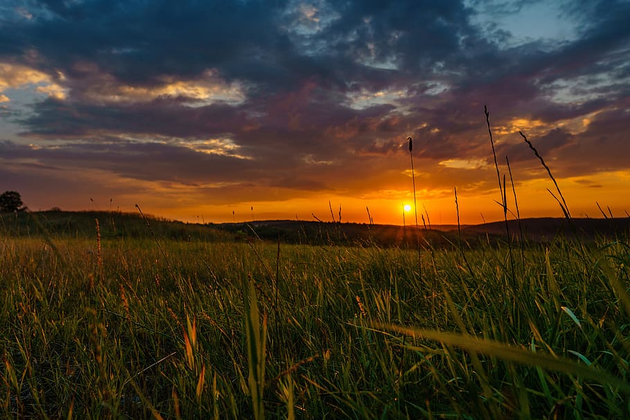 sunset, clouds, grass, orange, afterglow, evening, mood, nature HD wallpaper
