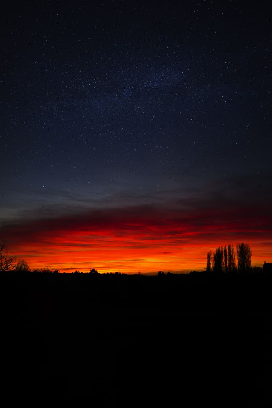germany, mainz, trees, clouds, romantic, sunset, epic, dawn HD wallpaper