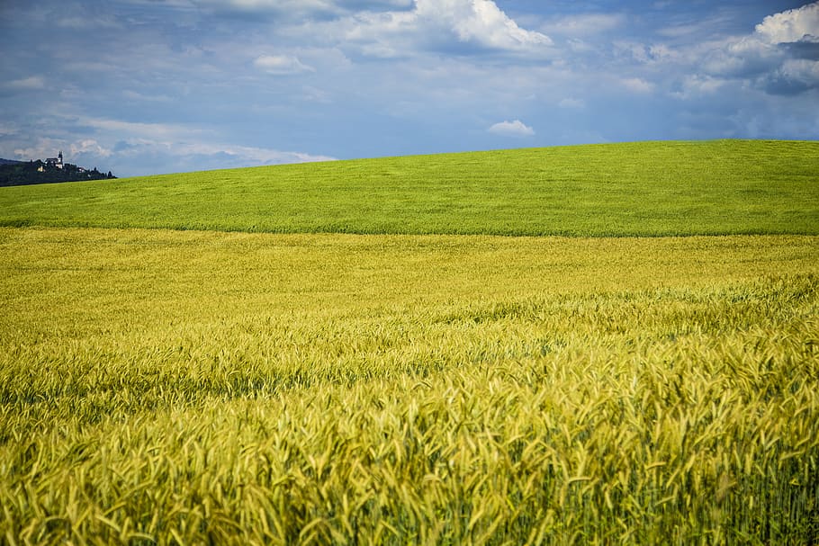 austria, linz, blue, green, wheat, landscape, colorful, yellow, HD wallpaper