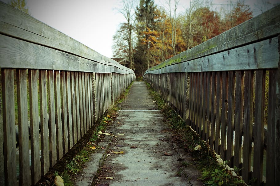 Wooden Pathway Heading on Forest, architecture, bridge, color HD wallpaper
