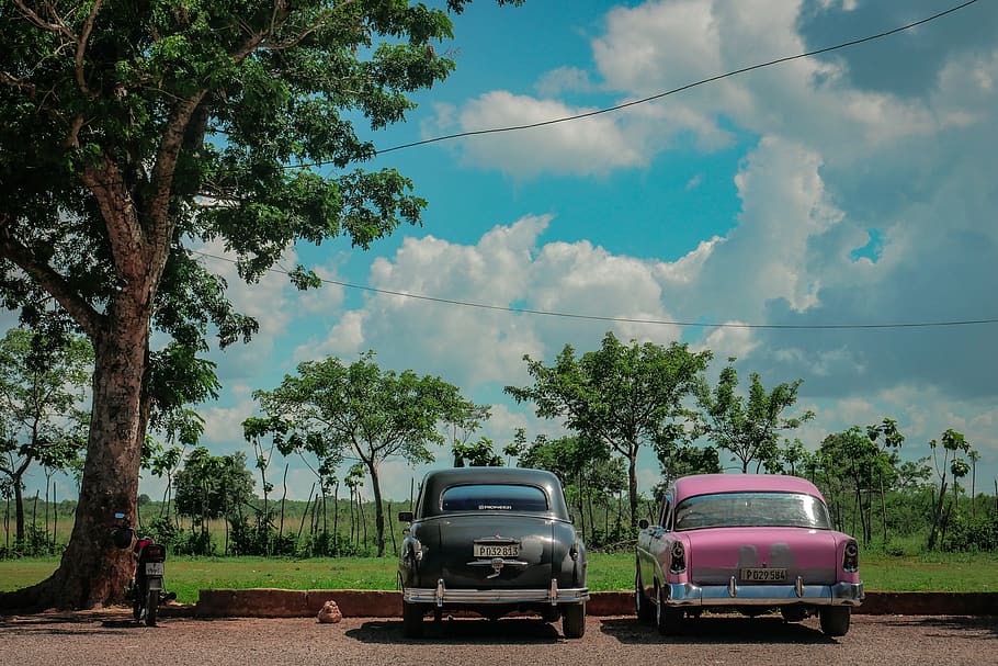 cuba, matanzas, oldtimer, vintage, car, tree, cloud - sky, mode of transportation HD wallpaper