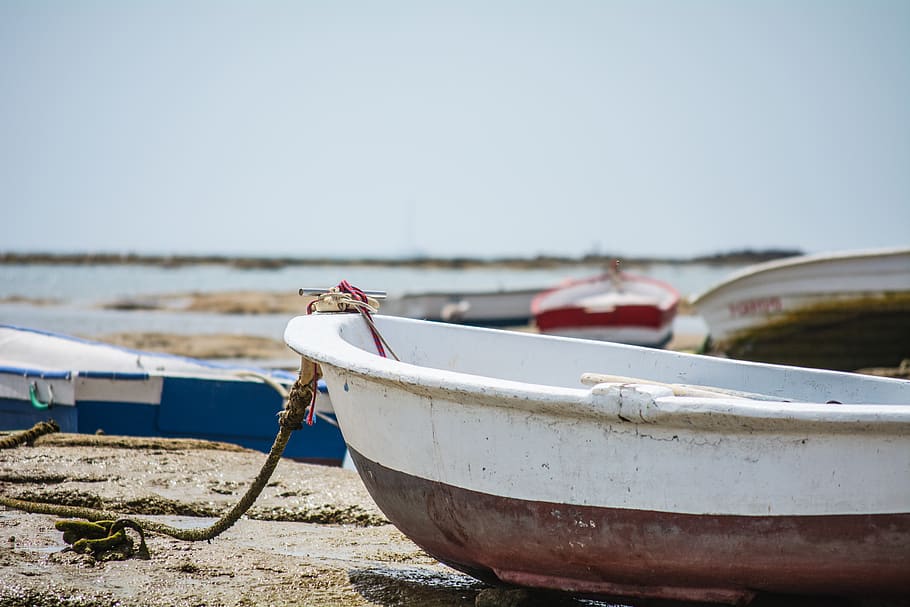 white boat, nautical vessel, water, day, nature, focus on foreground HD wallpaper