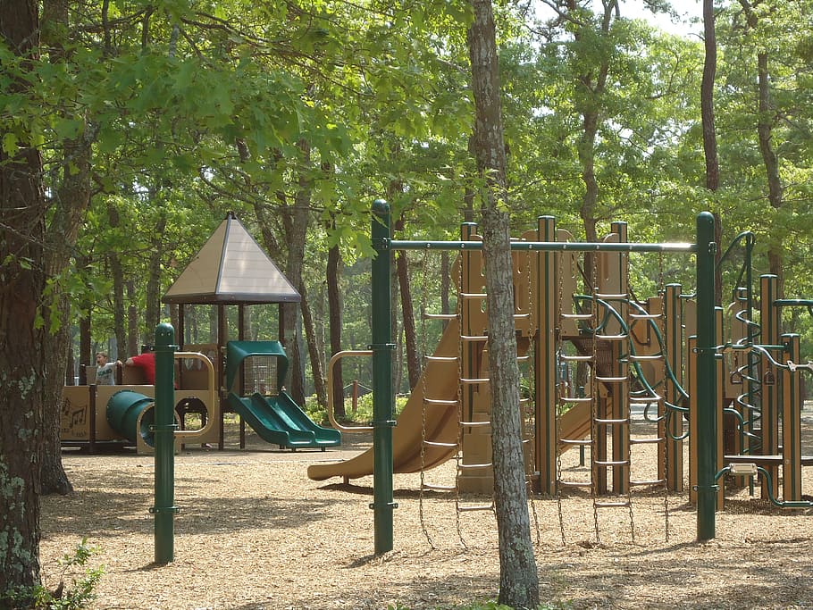 playground, slide, children, fun, tree, plant, nature, day, HD wallpaper
