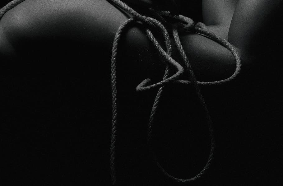 ukraine, kyiv, tied up, rope, close-up, tied knot, bow, studio shot HD wallpaper