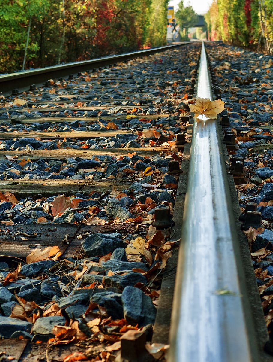 autumn, light, the same, railroad track, nature, leaves, atmosphere HD wallpaper