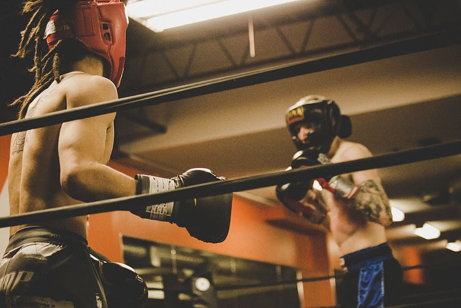 two man wearing training gloves on ring, strength, sport, exercising HD wallpaper