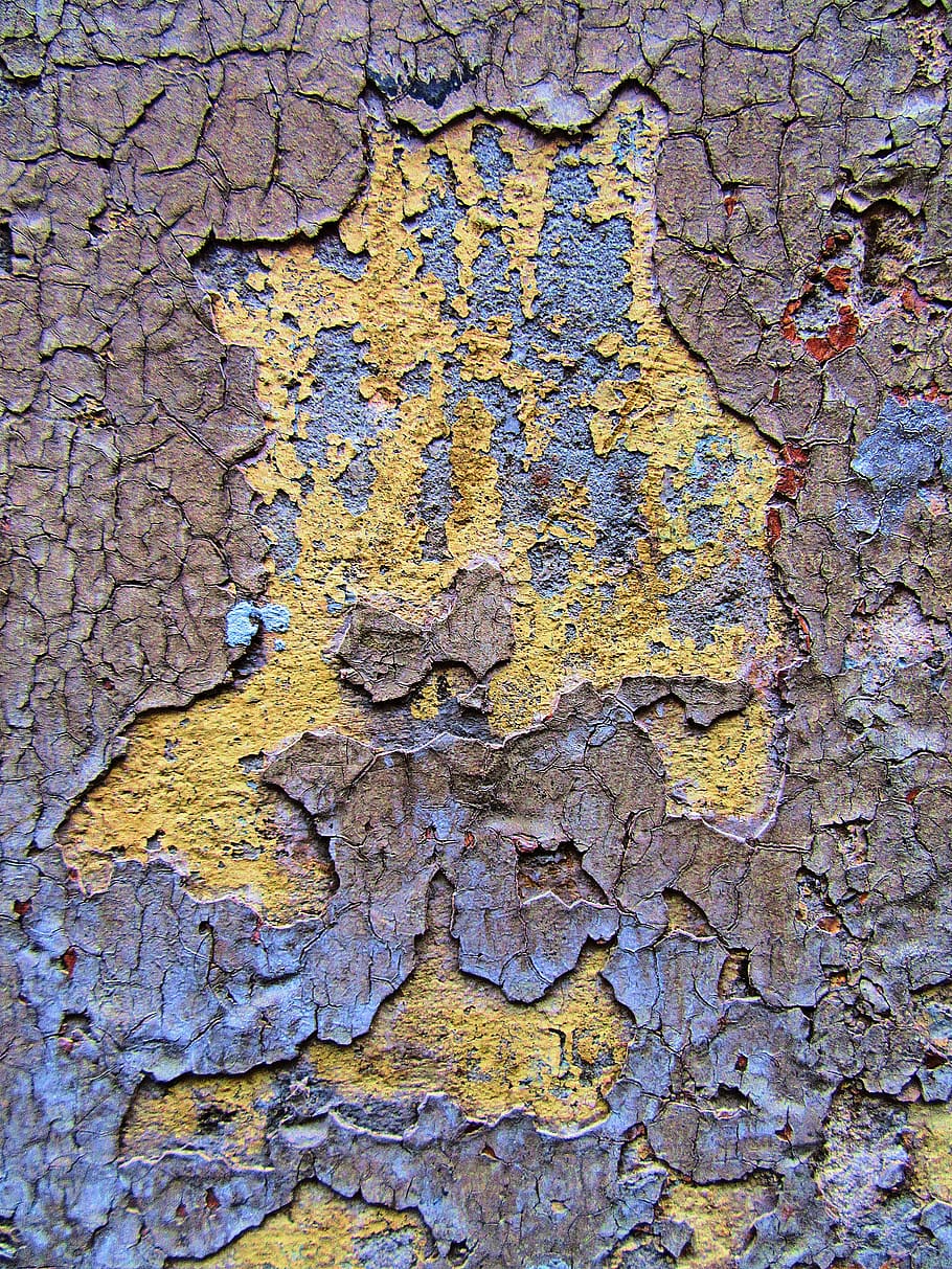 ground, rug, rust, texture, rock, wood, wall, plant, tree, tree trunk HD wallpaper