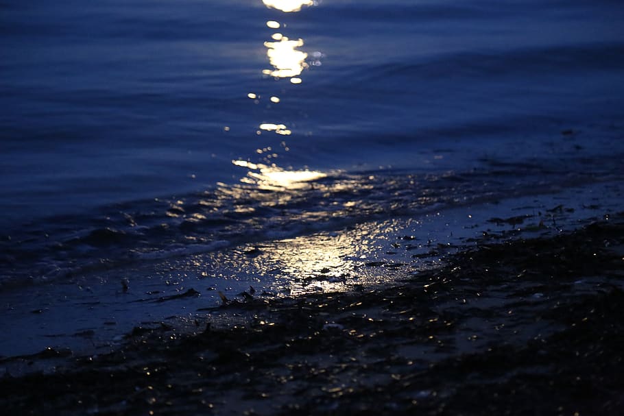 ocean, moonlight, sea, water, nature, land, no people, beauty in nature HD wallpaper