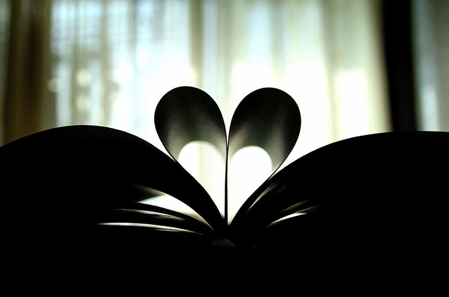 diary, benefits, record, love, bed, curtain, publication, book HD wallpaper