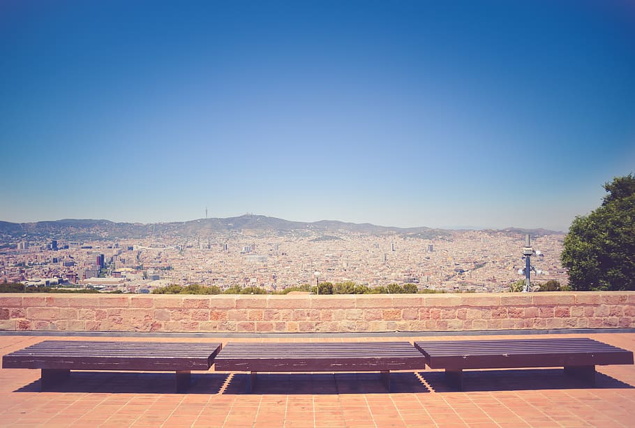 bench, city, buildings, tree, rooftop, sky, clear sky, nature HD wallpaper