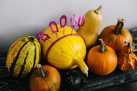 Pumpkins & Halloween, vegetables, autumn, fall, funny, ghosts HD wallpaper