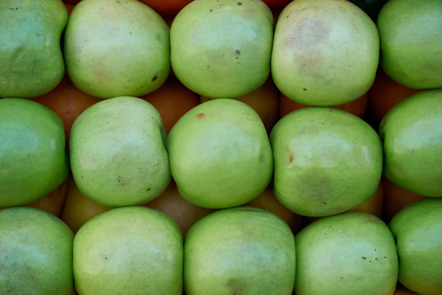 apple, fruit, green, healthy, fresh, delicious, food, vitamins HD wallpaper