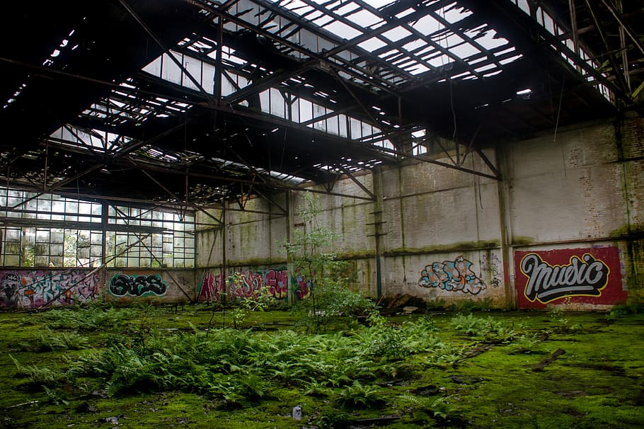 hall, hanger, grafity, old, lost, lost place, green, plant HD wallpaper