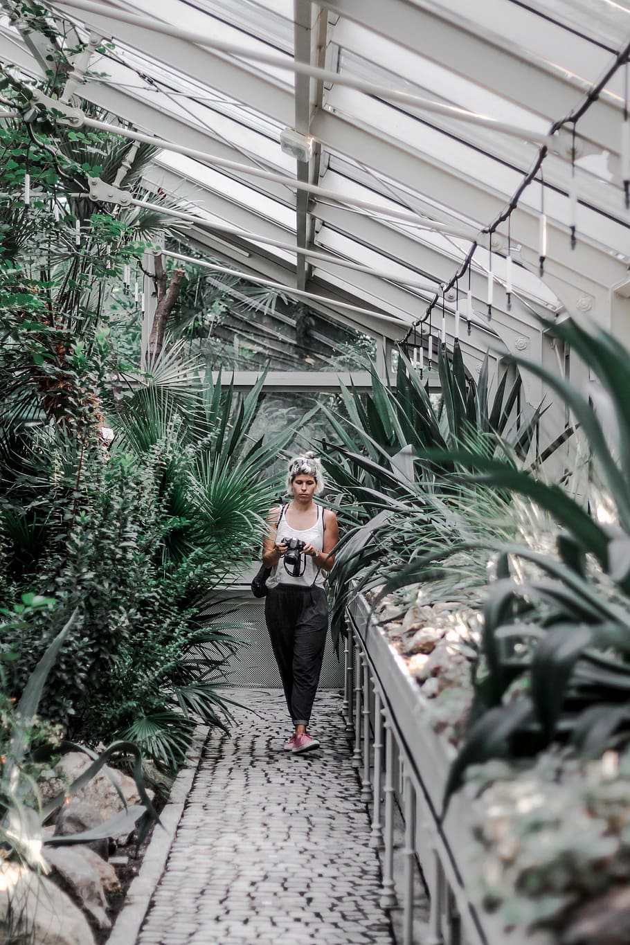 woman walking on pathway beside plants inside greenhouse, person, HD wallpaper