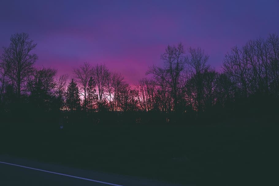 Silhouette of Trees, clouds, colors, dark, evening, landscape HD wallpaper