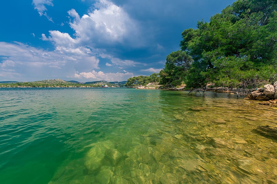 croatia, šibenik, sibenik, reflection, shore, trees, seaside, HD wallpaper