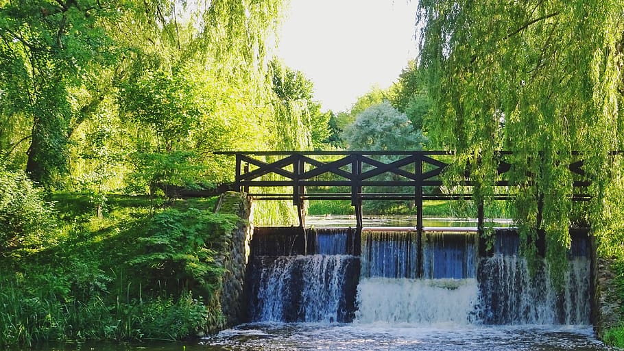 trees, green, summer, waterfall, lake, bridge, plant, nature HD wallpaper
