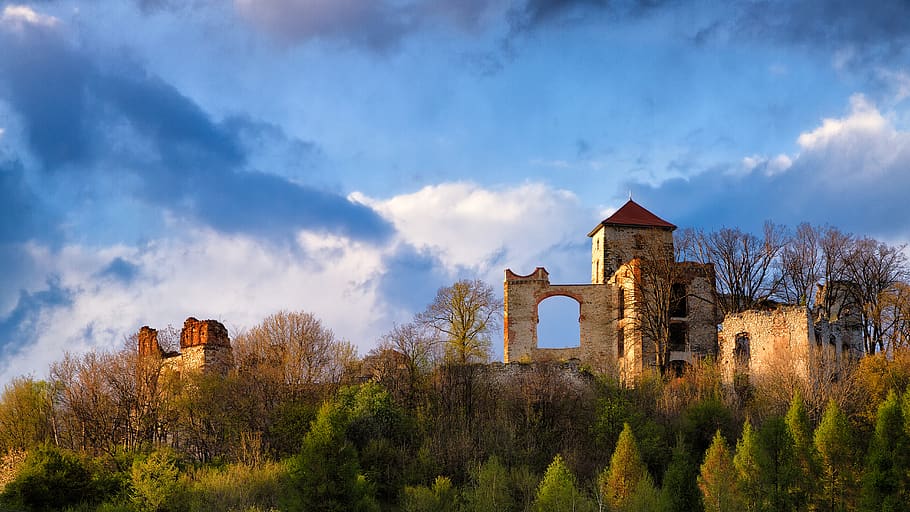 castle, clouds, building, ruin, sunset, grass, tree, trees HD wallpaper