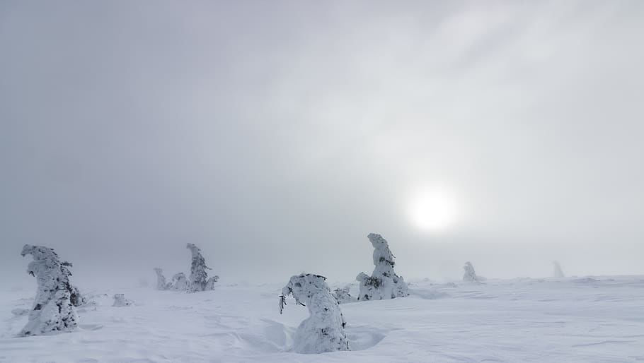 white snow during daytime, nature, outdoors, winter, karkonosze HD wallpaper