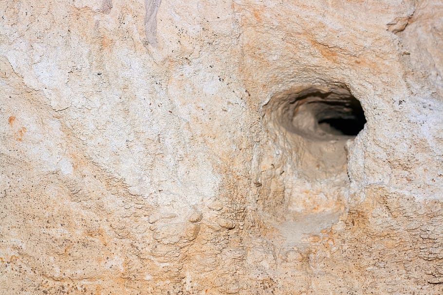 beach, brown, closeup, desert, hiding, hole, nature, round HD wallpaper