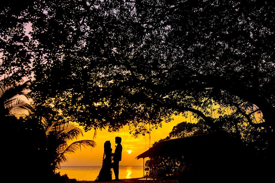 Silhouette Photo of Man and Woman during Sunset, backlit, couple HD wallpaper