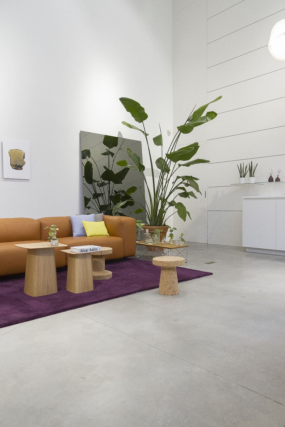 brown sofa set, plant, indoors, furniture, potted plant, home interior HD wallpaper