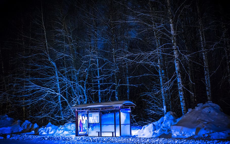 Photography of Bus Stop During Winter, branches, cold, dark, environment HD wallpaper