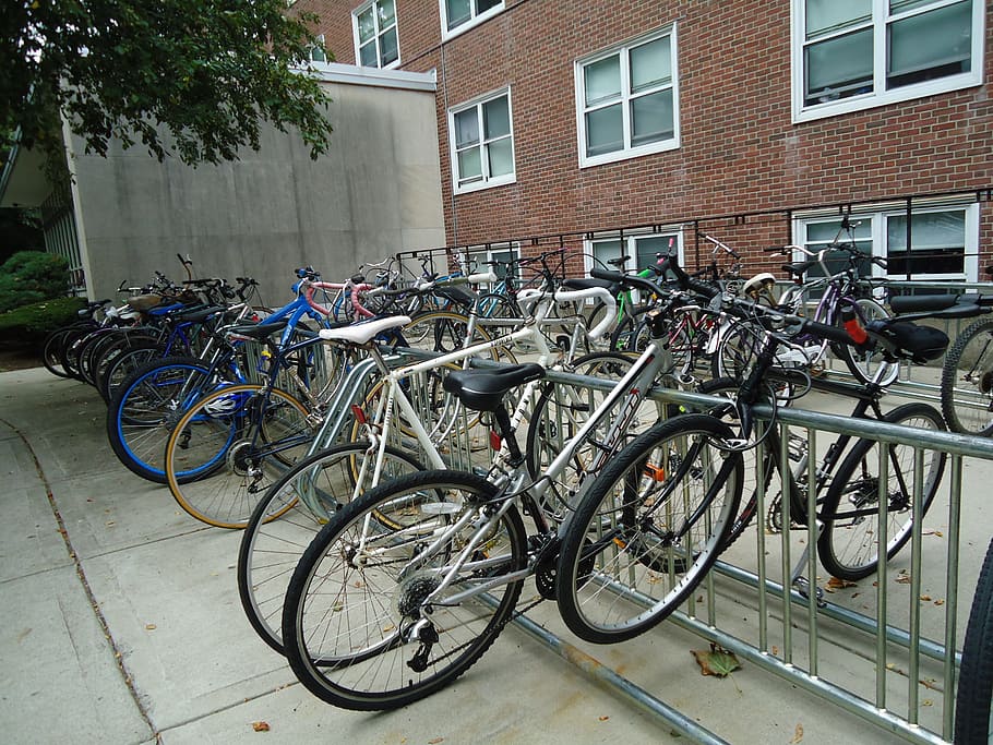 bikes, bicycles, rack, stand, transportation, architecture HD wallpaper
